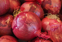 在线电话轰炸机