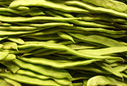 虚拟号码手机号发送平台