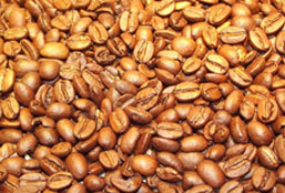 免费电话轰炸器